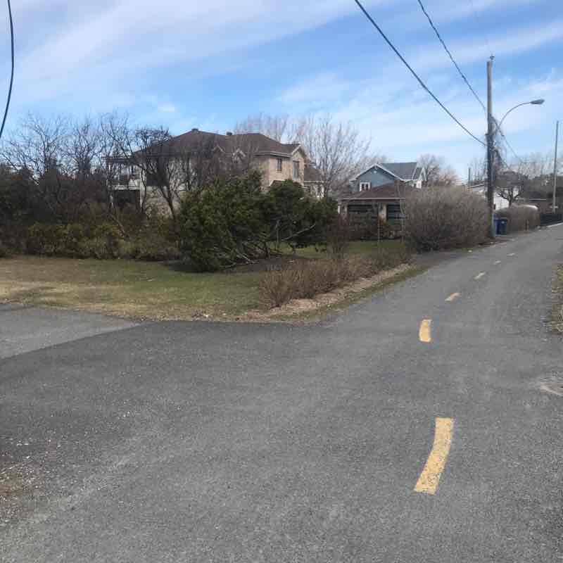 Promenade dans memory lane