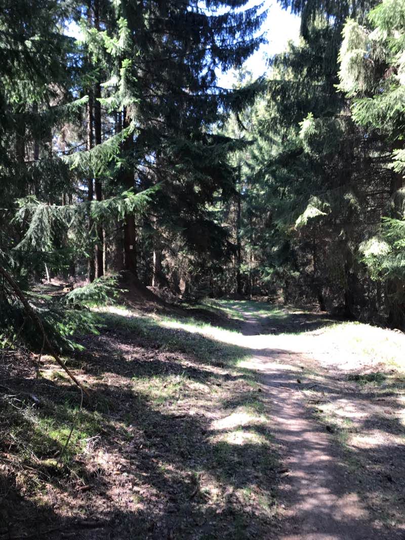 walking near me in Rheinufer in winter