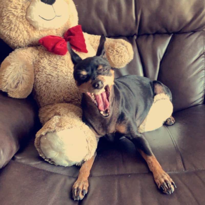 Home-the beaten path