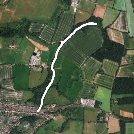 Cuckoos book & the dingle