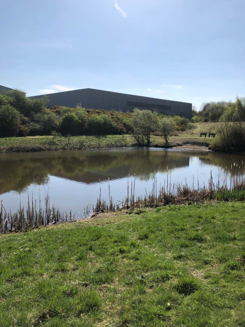 walking near me in Barlborough Links Pond in winter
