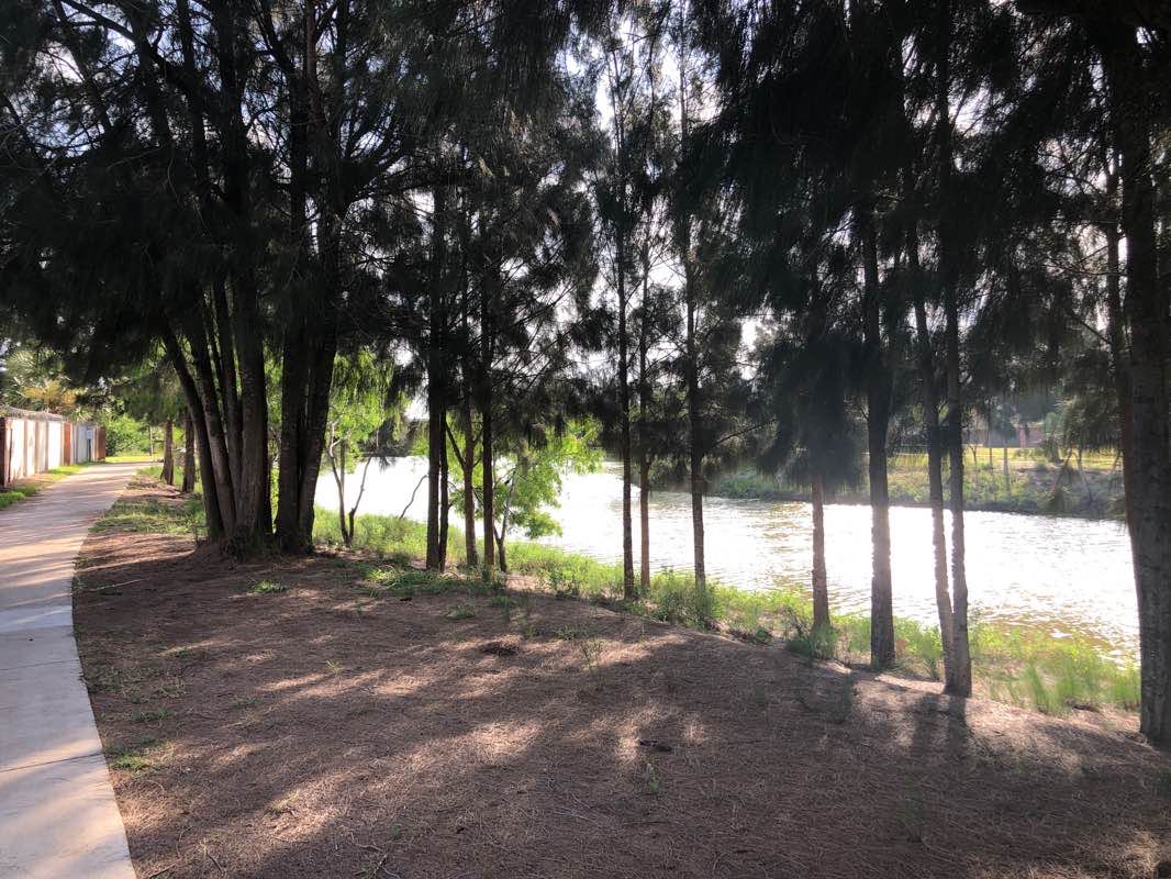 walking near me in Texas Trail of Trees Park in winter