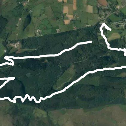 Tollymore forest park