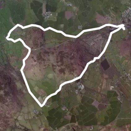 Rose wall Hill circular