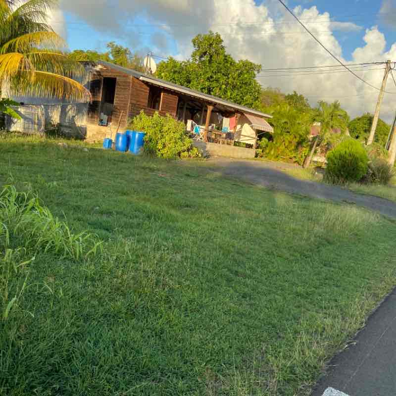 Debut de monter de latreille