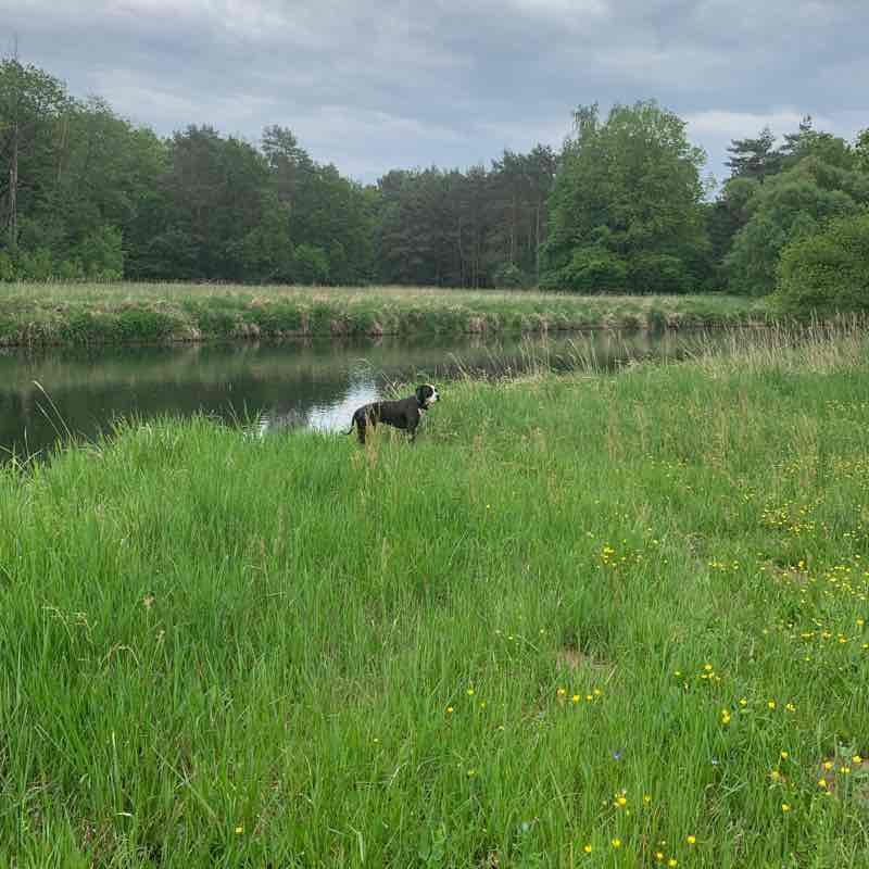 Always along the Spree along the ..round walking route map in Cottbus