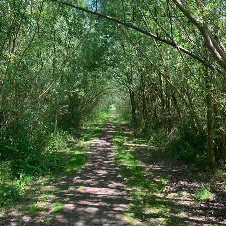 Spreeaue Dissen / Maiberg walking route map in Cottbus