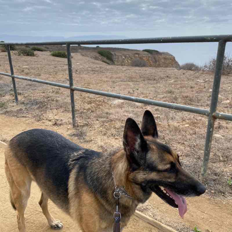 Axl Sat 20201024 12:30