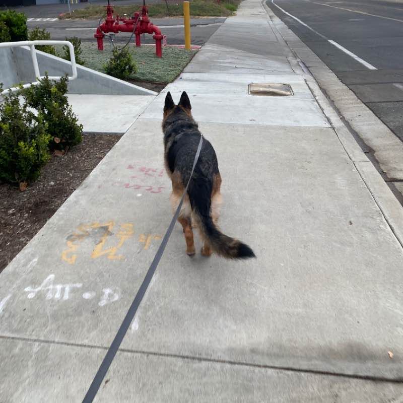Roxy Sat AM Oct 17