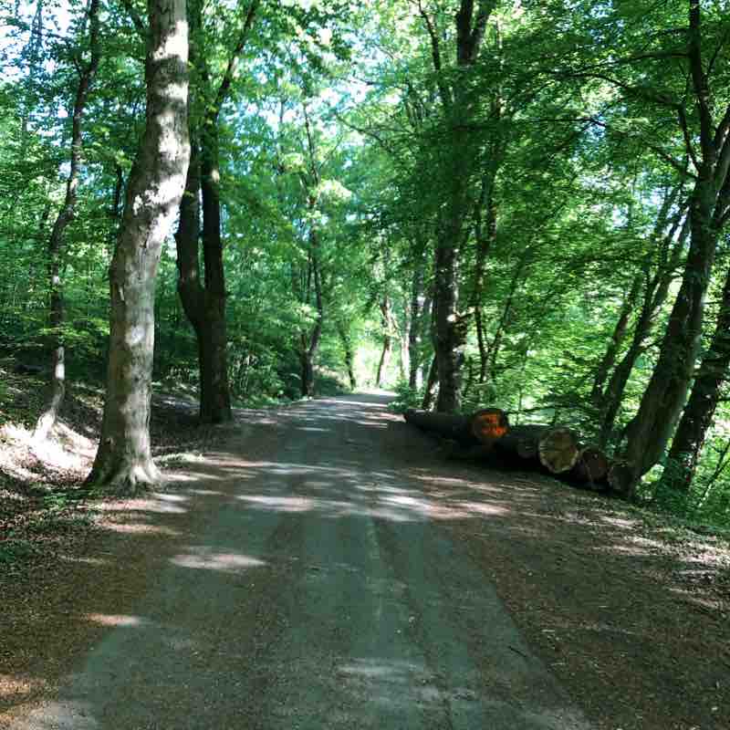 Nordfriedhof Wiesbaden