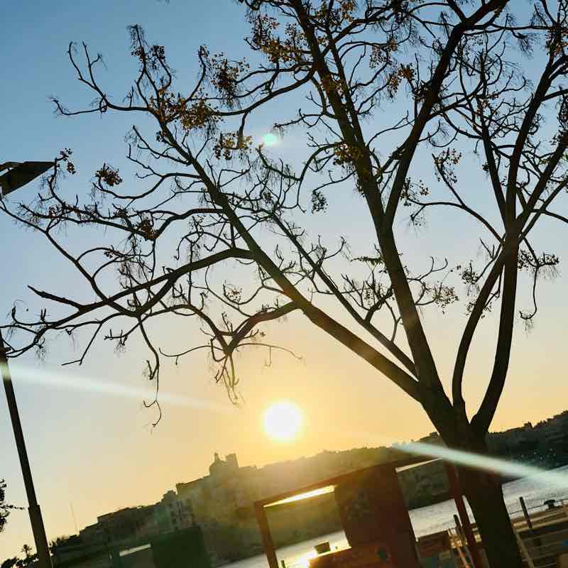 Floriana