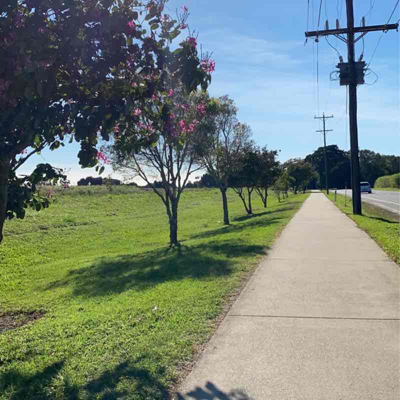 Freshwater walking track