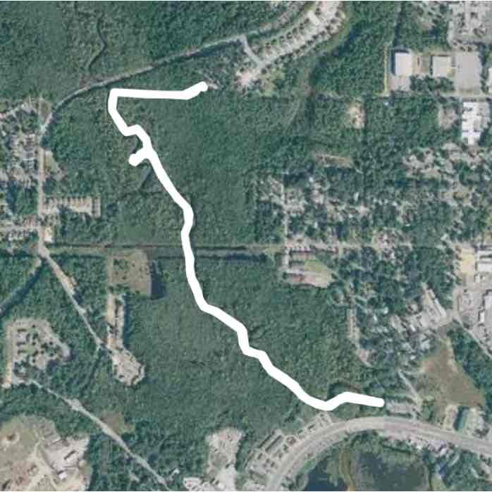 Morning 🚶🏻‍♀️