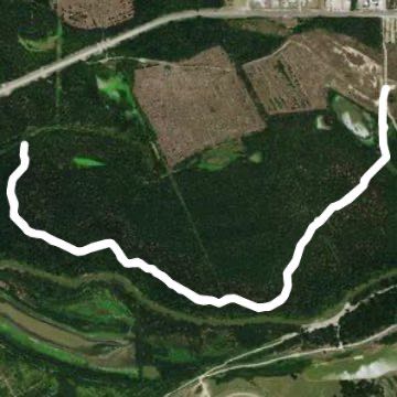 Audubon Trinity Forest Trail