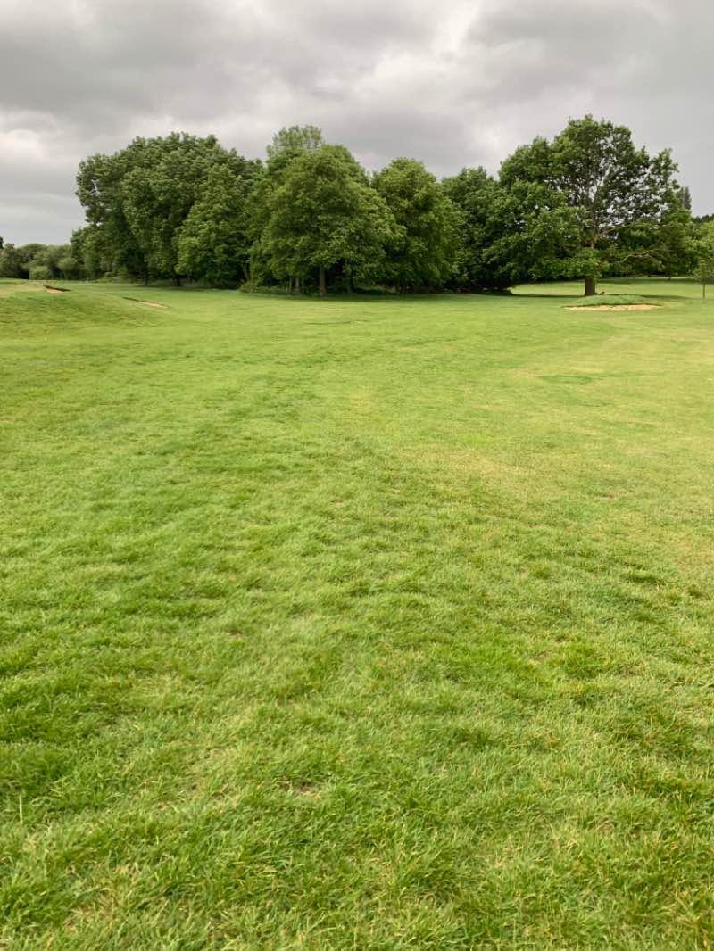 walking near me in Park Road Green in winter