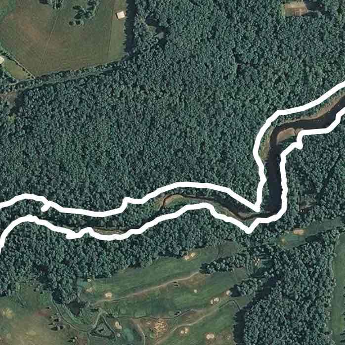 White trail at Cumberland Mountain State Park