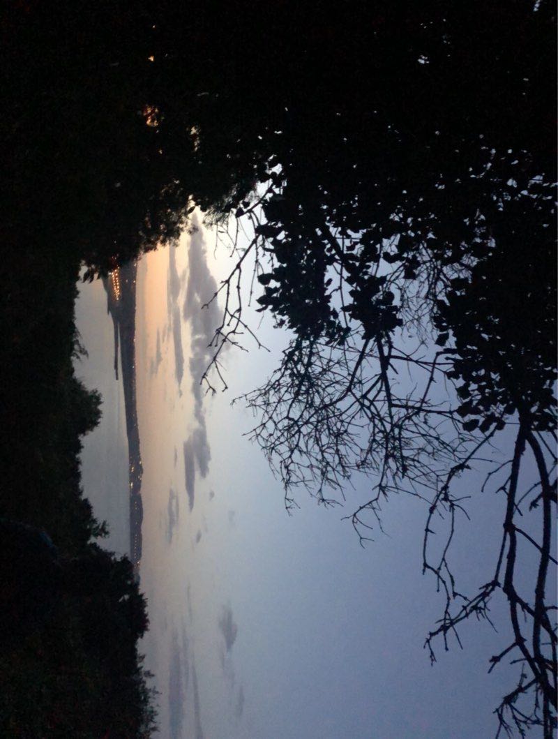 walking near me in Hermitage Park in winter