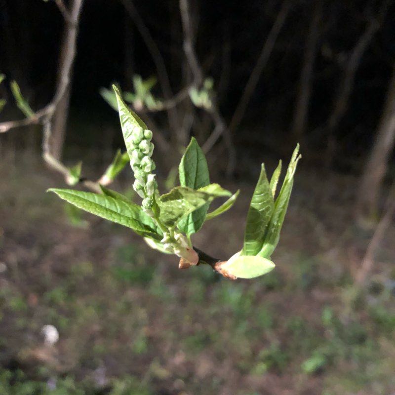 3 мкр. прогулка сред.темп.