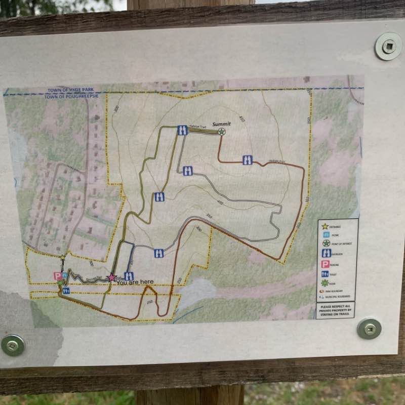 Peach Hill Park at Sunset