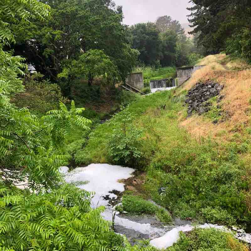 Iron Horse Regional Trail, San Ramon, CA