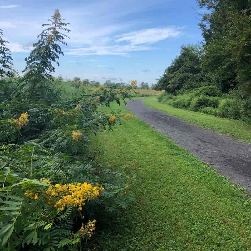 Benjamin Rush park