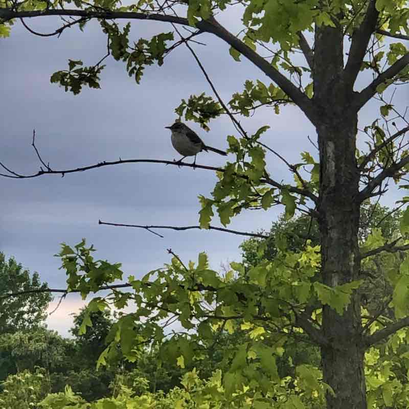 Benjamin Rush State Park