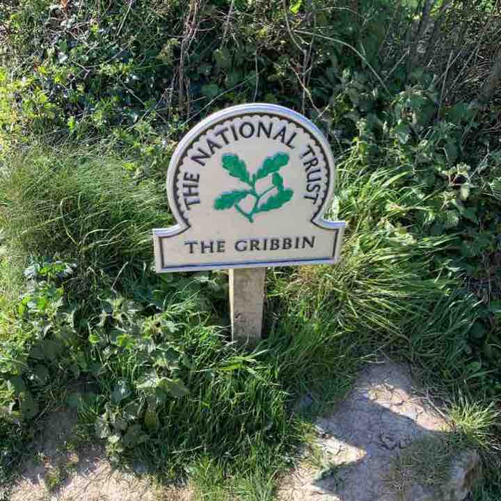 The Gribbin
