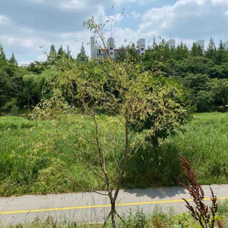 식당에서 회사까지