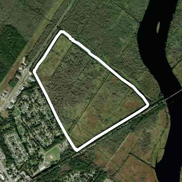 J.F. Gregory Park trail