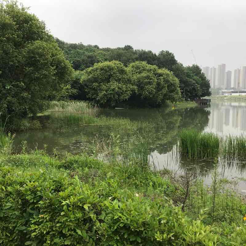 동탄호수공원-인공폭포A,B