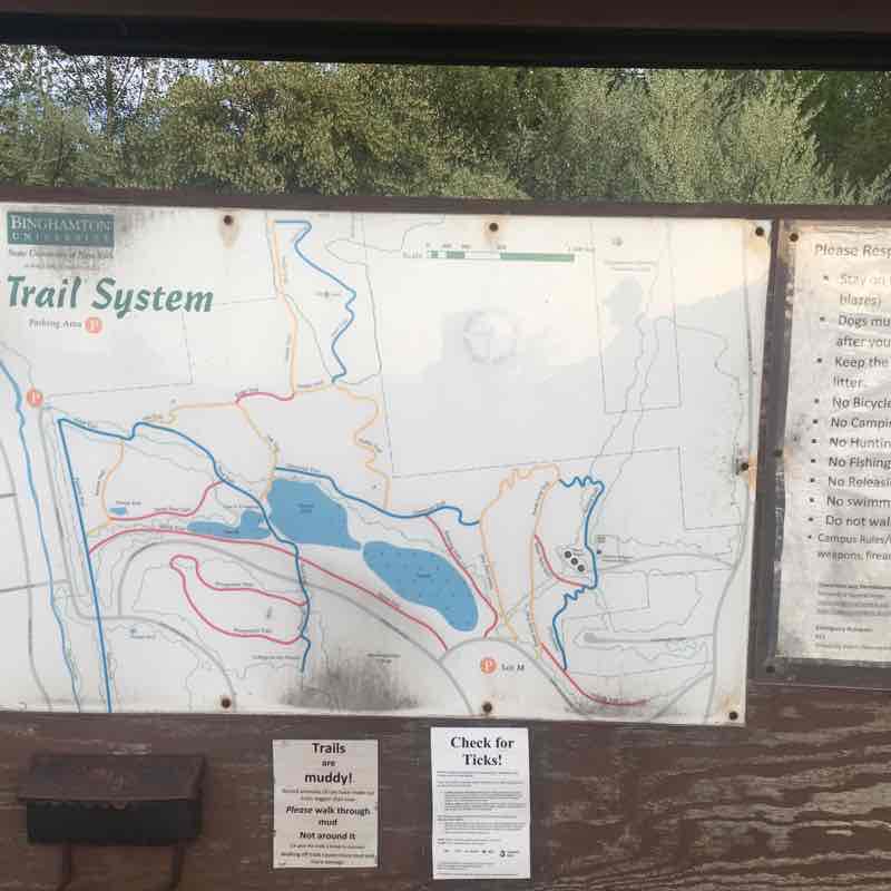 Binghamton university nature preserve