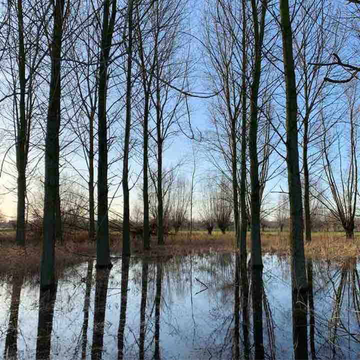 Kalkse Meersen walking route map in Wichelen