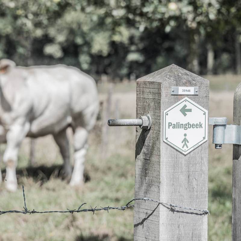 Palingbeekwandelroute