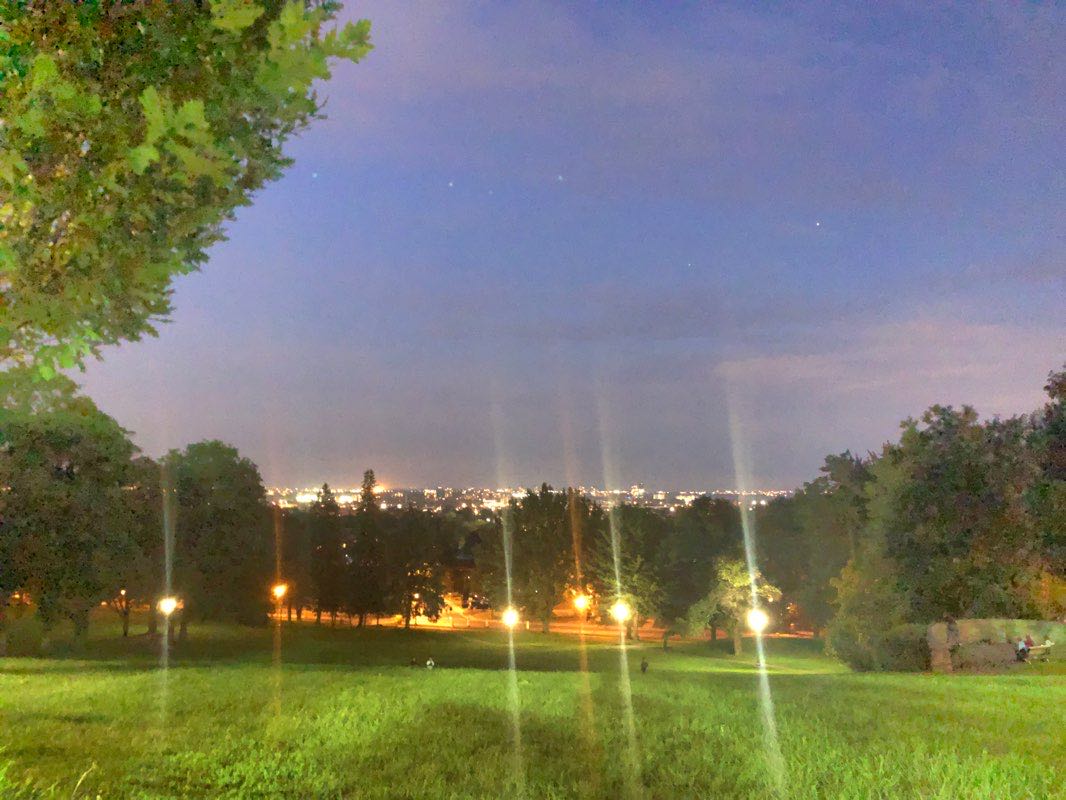 walking near me in Parc King George in winter