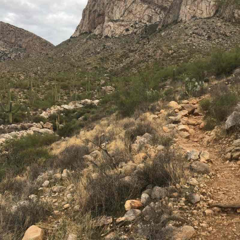 Linda vista waterfall route