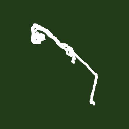 Walking on a nice day