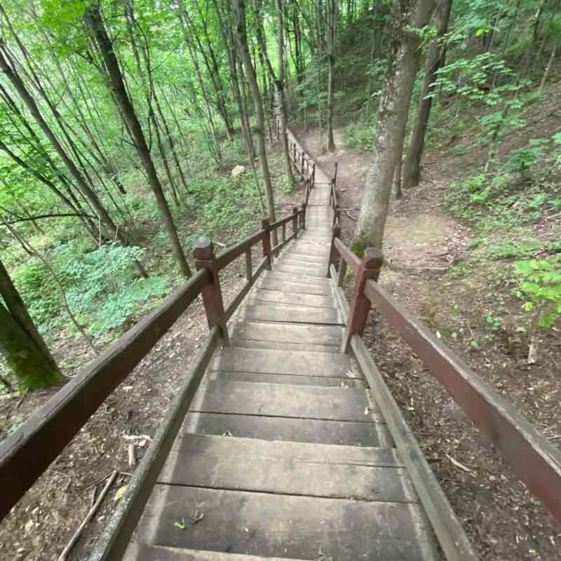 По лесам по долам