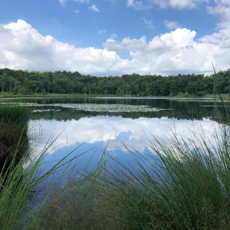 Parco naturale dei lagoni