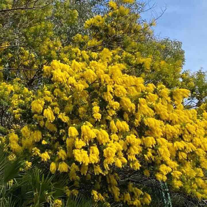 Finalmente si cammina/corre