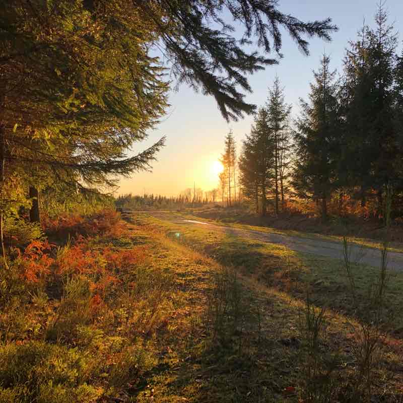 2020/11/28 balade à La Chapelle