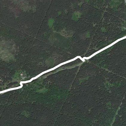 Пробежка в ЦПКиО им. Гагарина Ю.А.