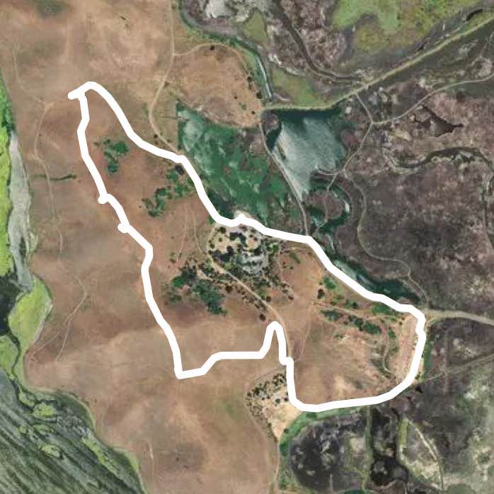 Coyote regional trail Bay Area