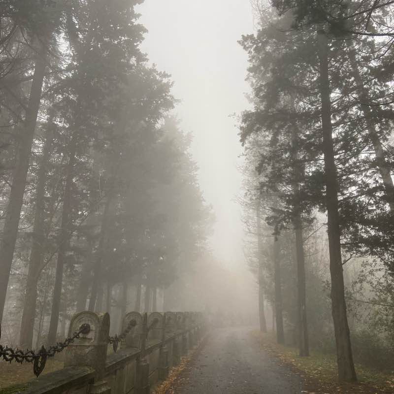 Paderno di Mercato Saraceno