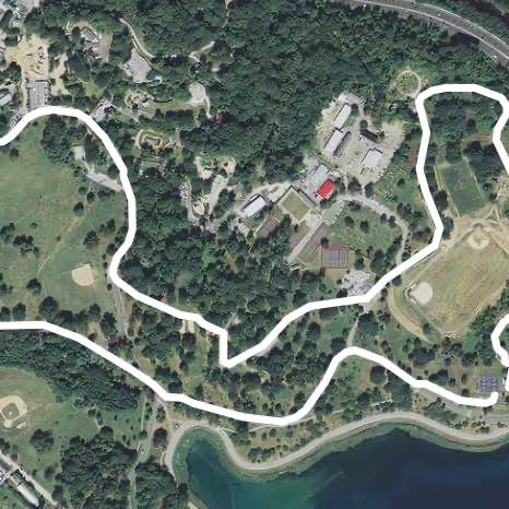 Druid Hill Park Walk