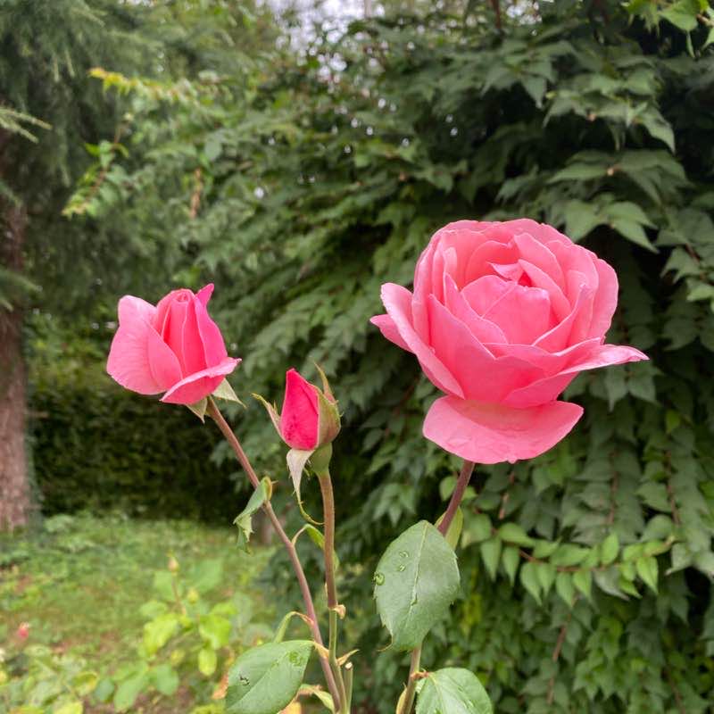 Sonntag Spaziergang via Gewerbeturm