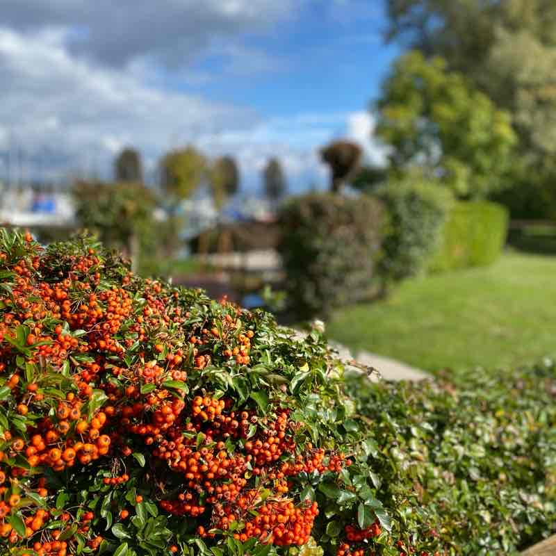Seeweg Bottighofen zum Hafen Kreuzlingen