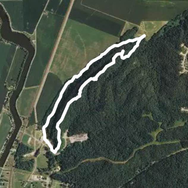 Salt Lick and Johnson Trail Loop