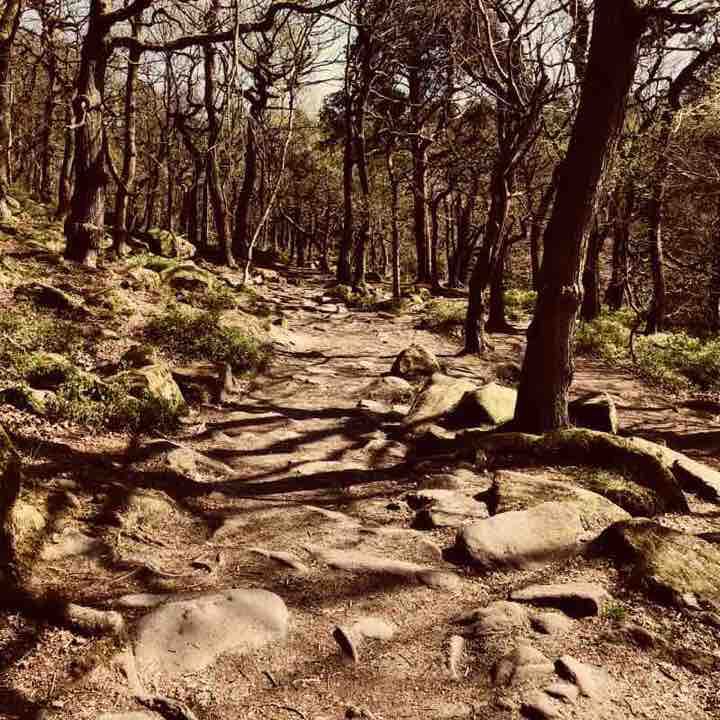 Walk aroind Padley Gorge  walking route map in Owler Bar