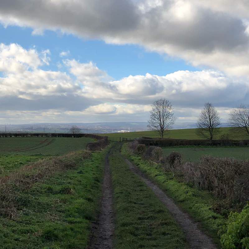 Monday walk around Wickersley  walking route map in Whiston