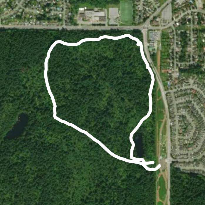 Mundy park easy trail